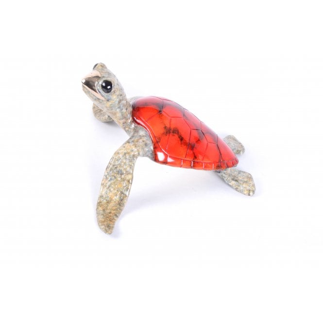 Frogman BT23 Sheldon the Turtle by Chris Barela